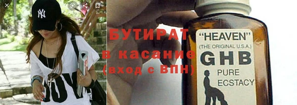 хмурый Аркадак