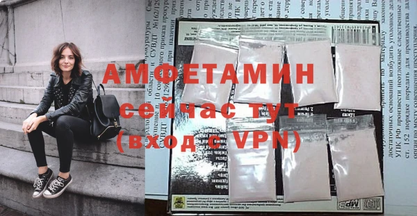 хмурый Аркадак