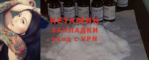 хмурый Аркадак