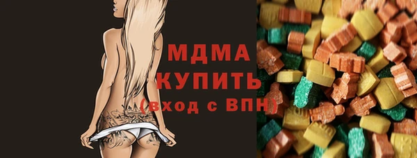 хмурый Аркадак