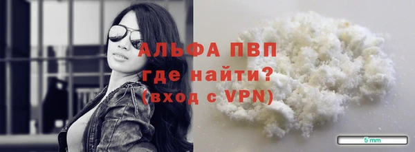 хмурый Аркадак