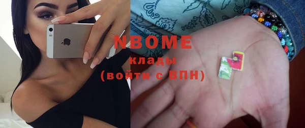 хмурый Аркадак