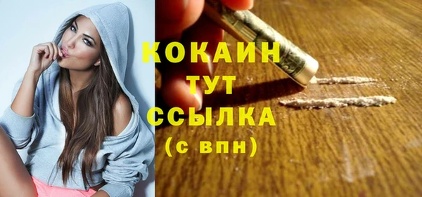 хмурый Аркадак