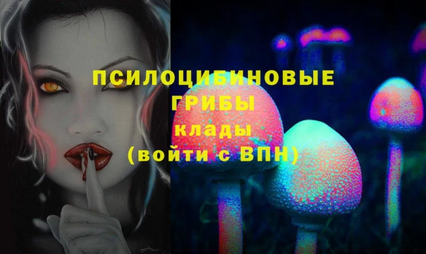 прущая мука Арсеньев
