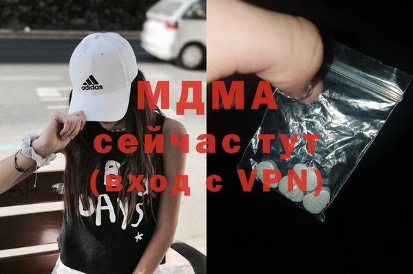 хмурый Аркадак